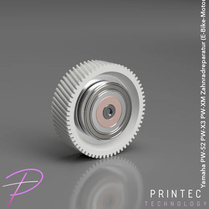 Yamaha PW-S2 PW-X3 PW-XM Zahnradreparatur (E-Bike-Motor) Fahrrad/Ersatzteil